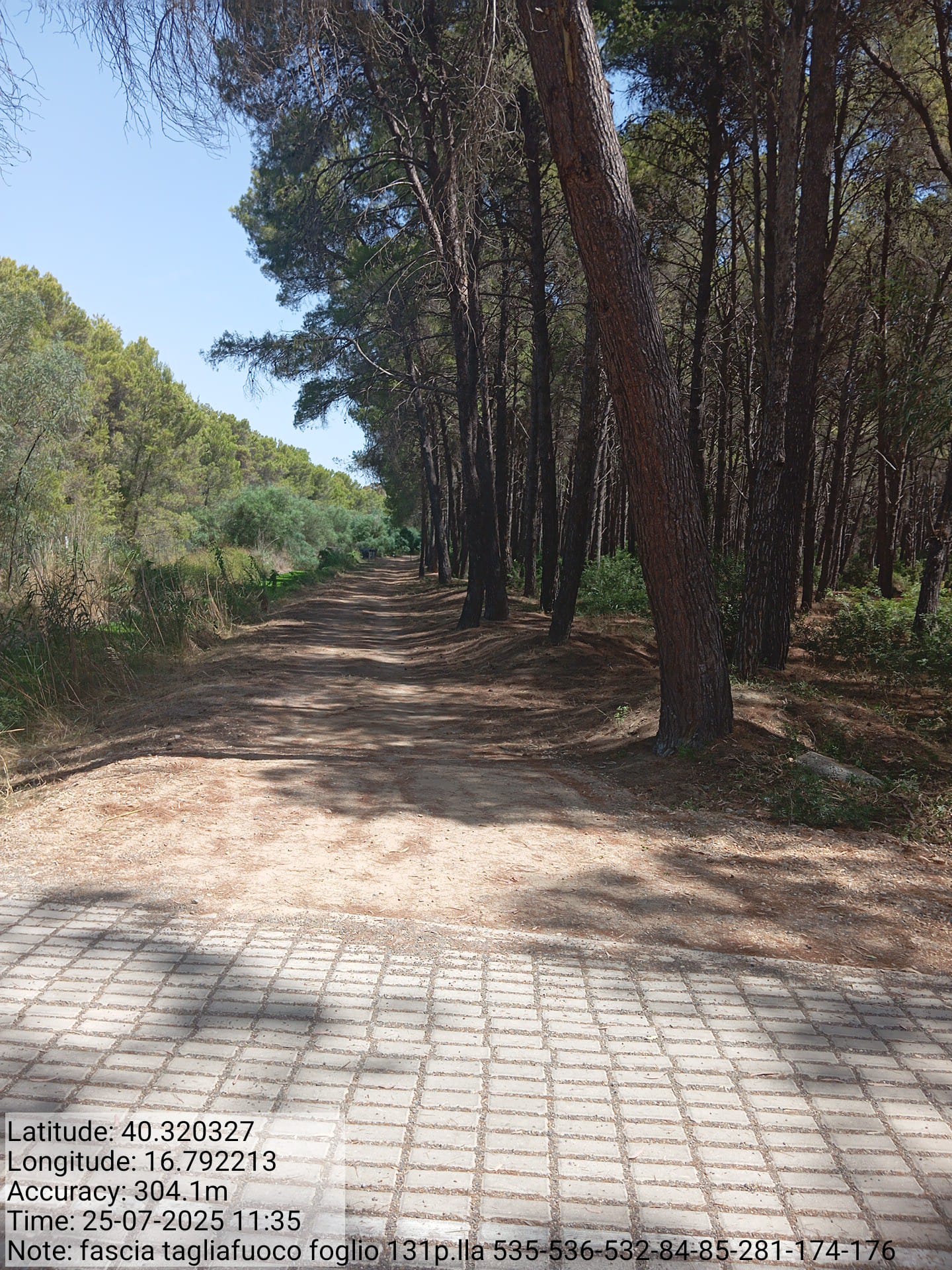 Galleria Fotografica Immagine