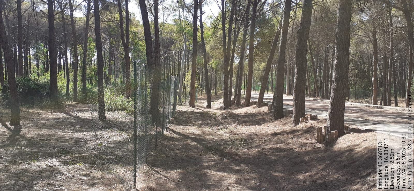 Galleria Fotografica Immagine