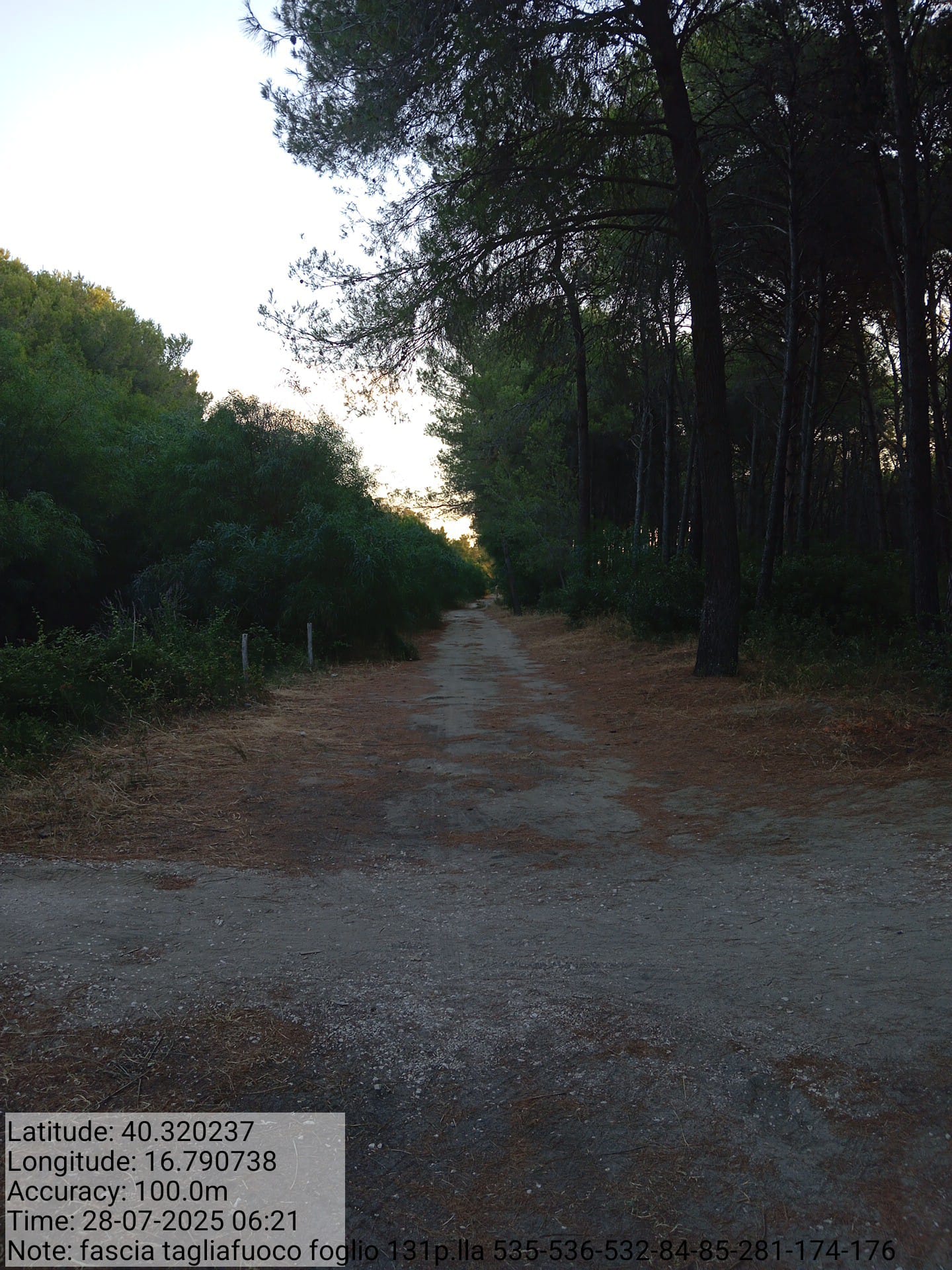 Galleria Fotografica Immagine