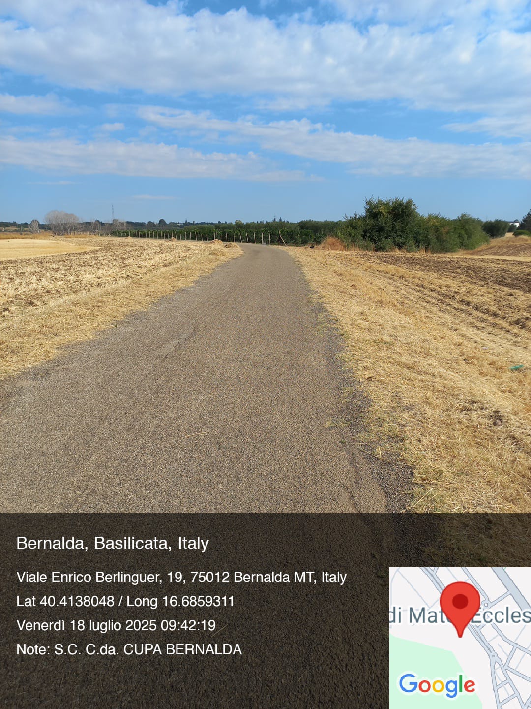 Galleria Fotografica Immagine