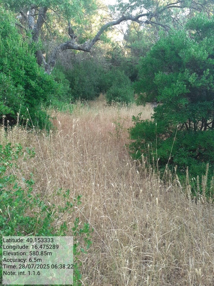 Galleria Fotografica Immagine