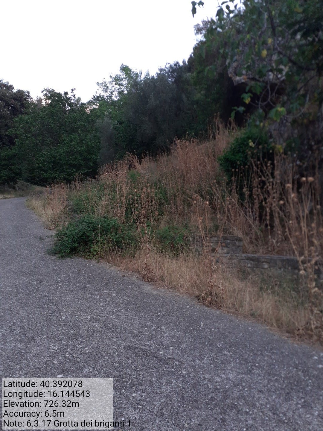 Galleria Fotografica Immagine