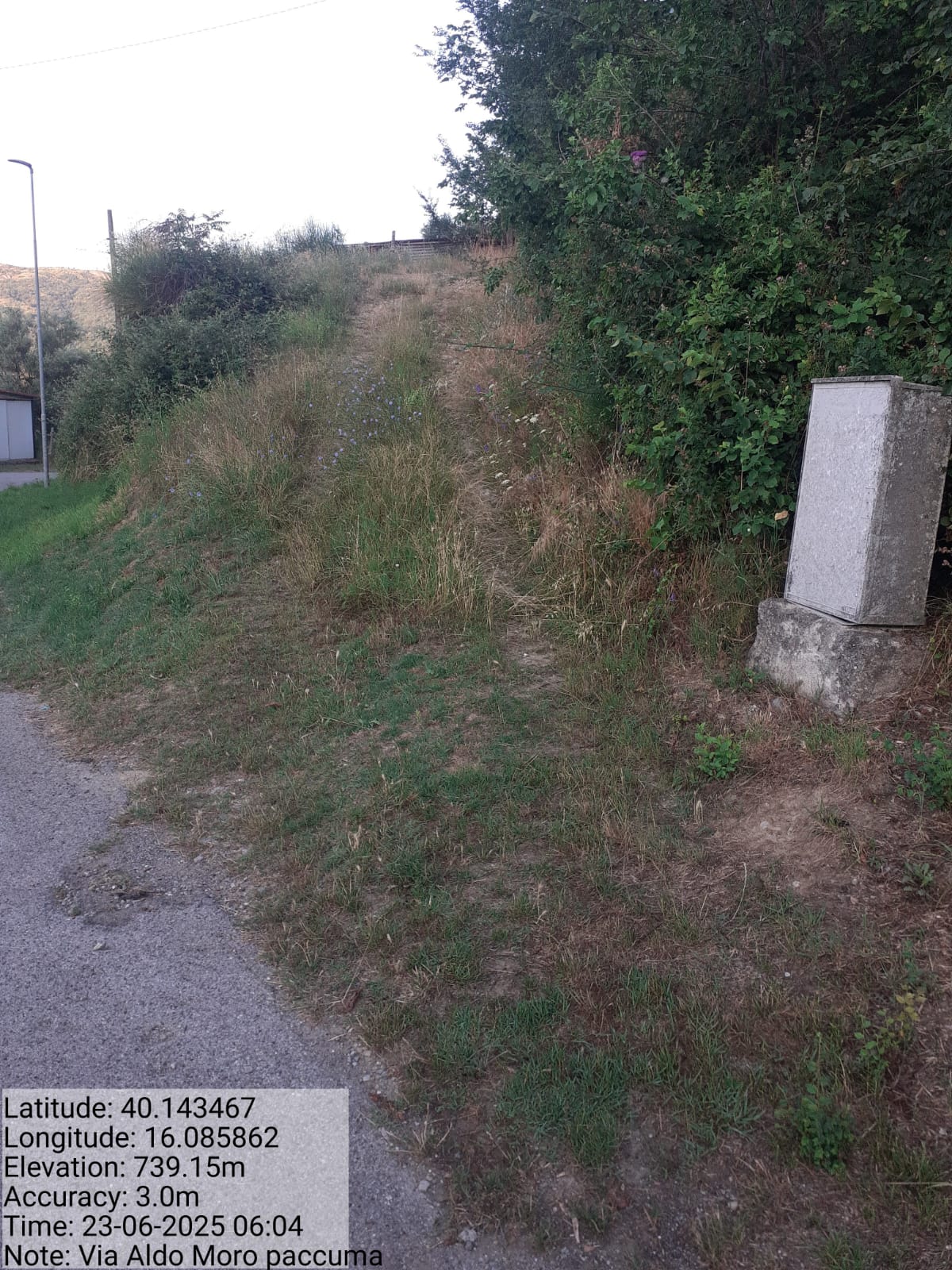 Galleria Fotografica Immagine