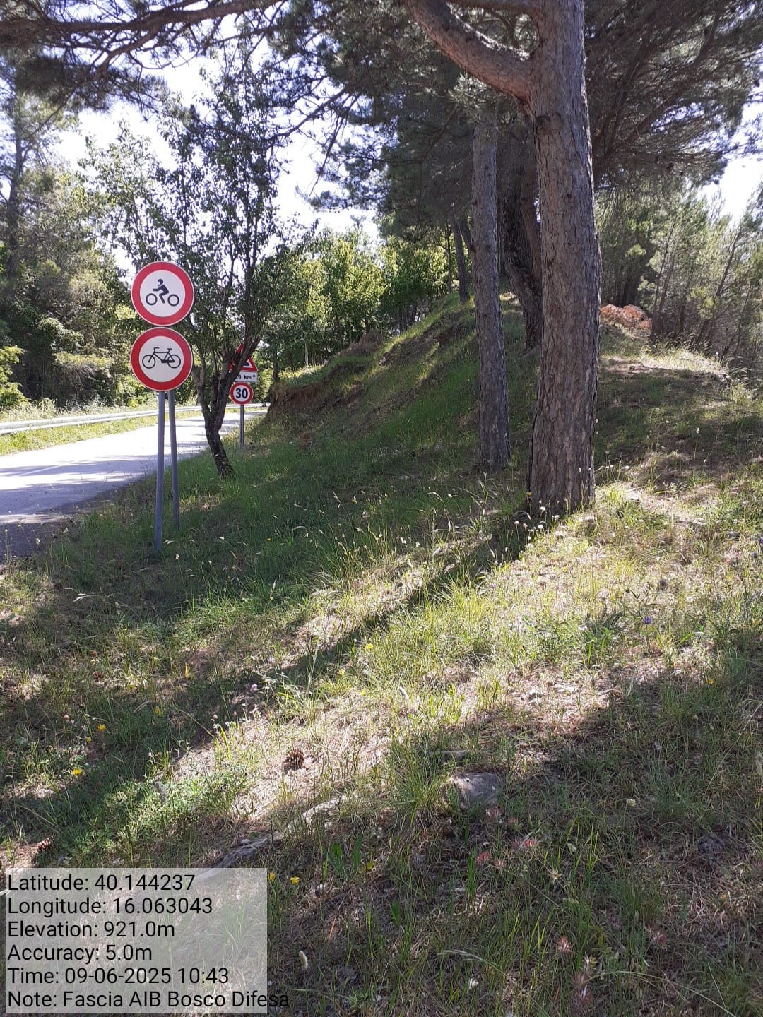 Galleria Fotografica Immagine