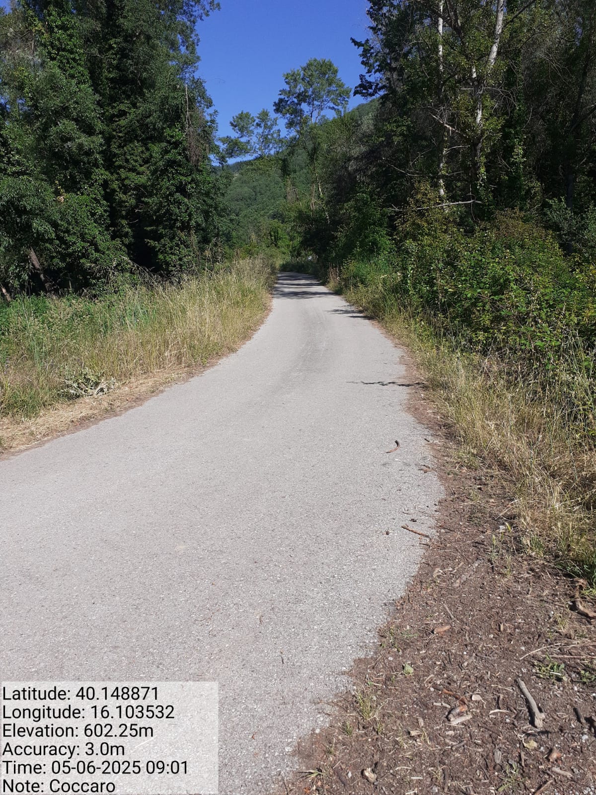 Galleria Fotografica Immagine