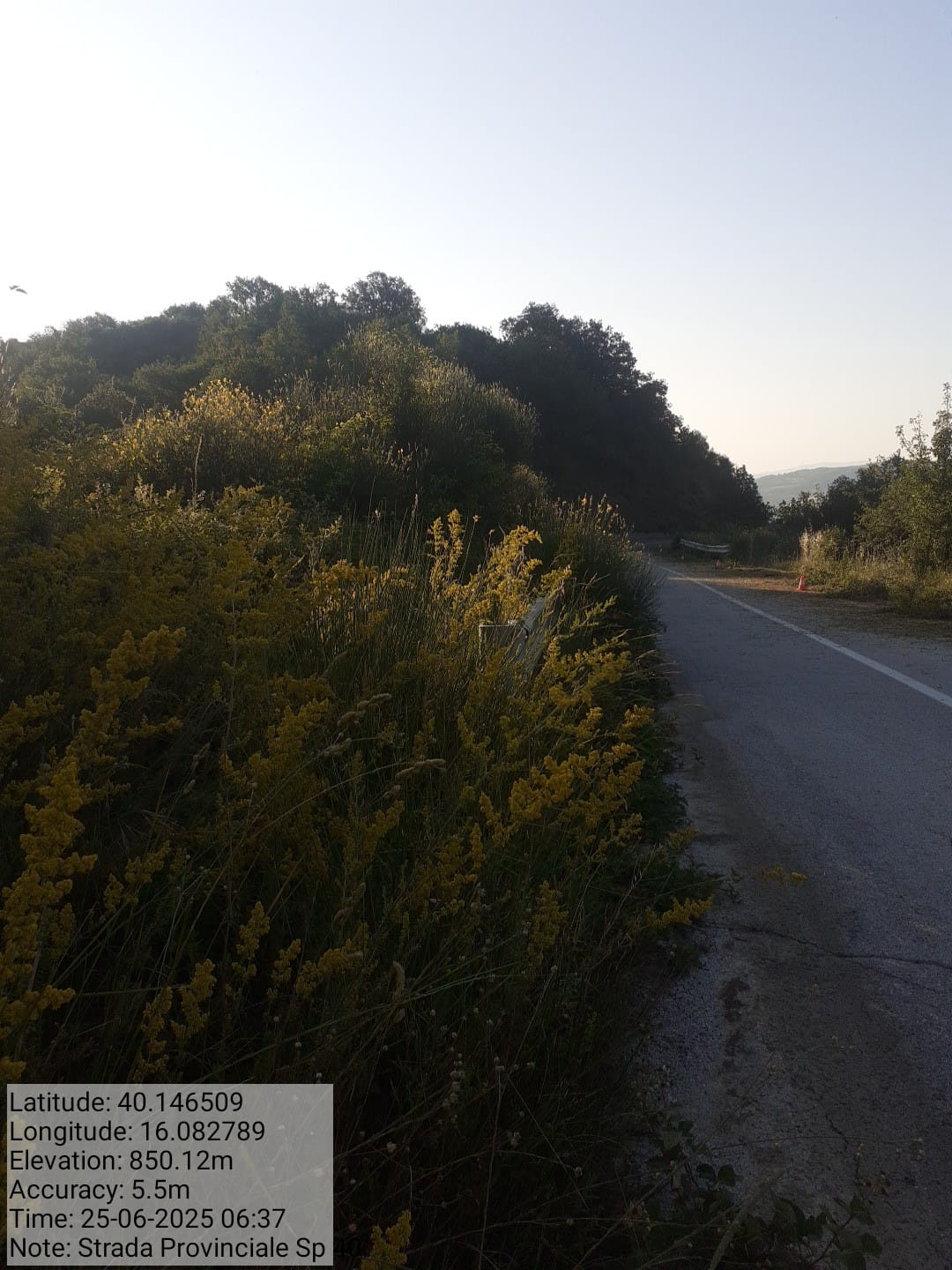 Galleria Fotografica Immagine