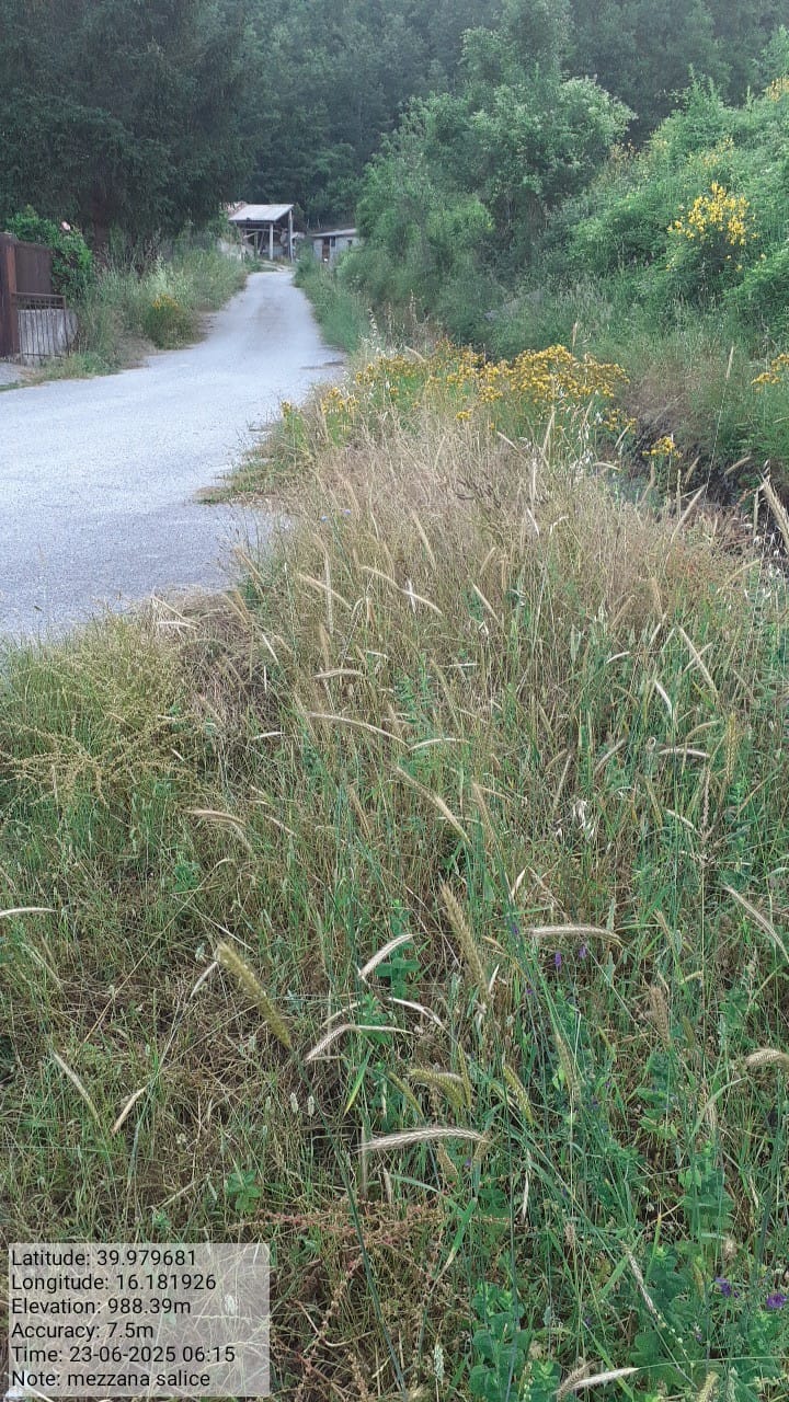 Galleria Fotografica Immagine