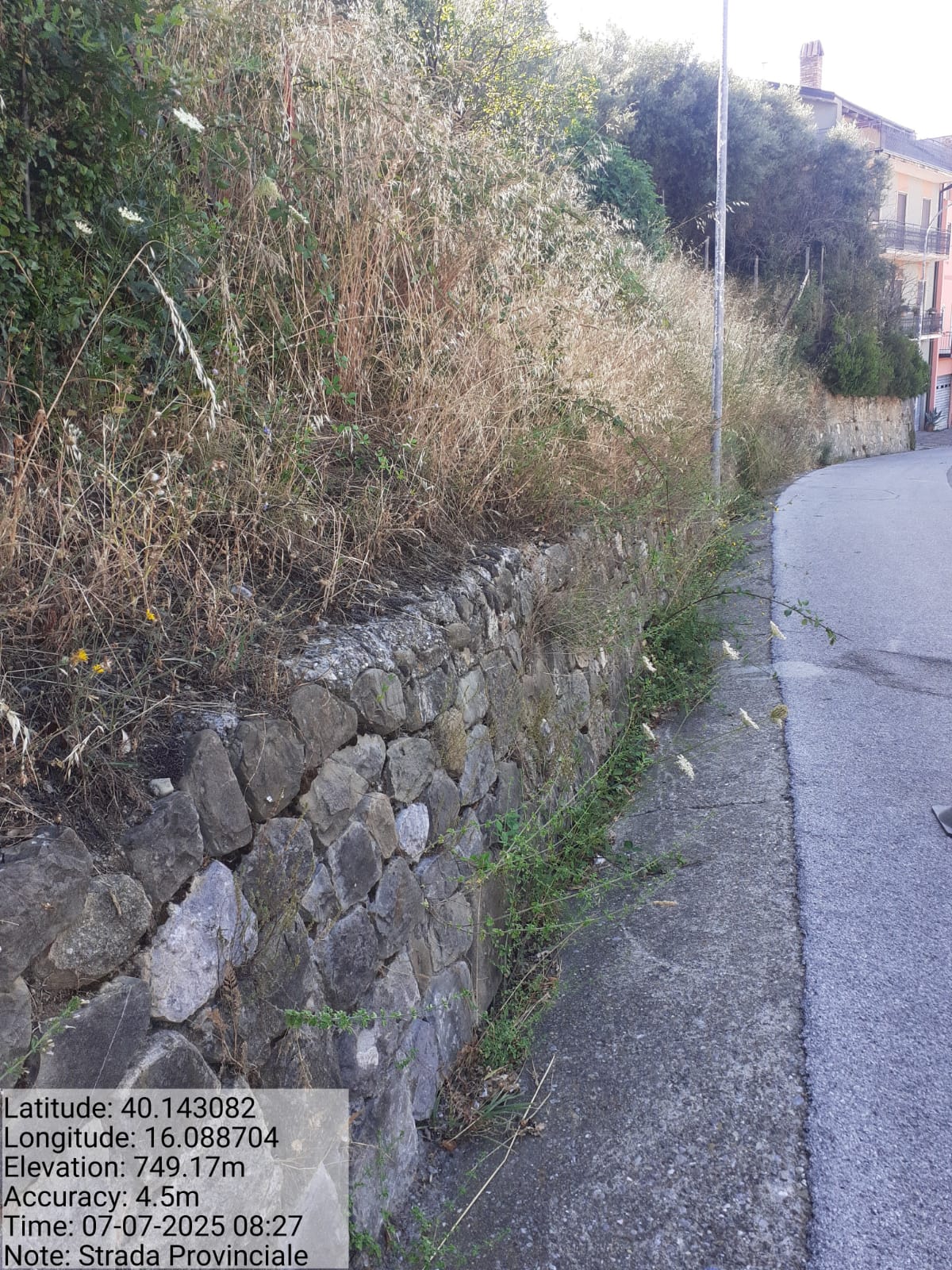 Galleria Fotografica Immagine