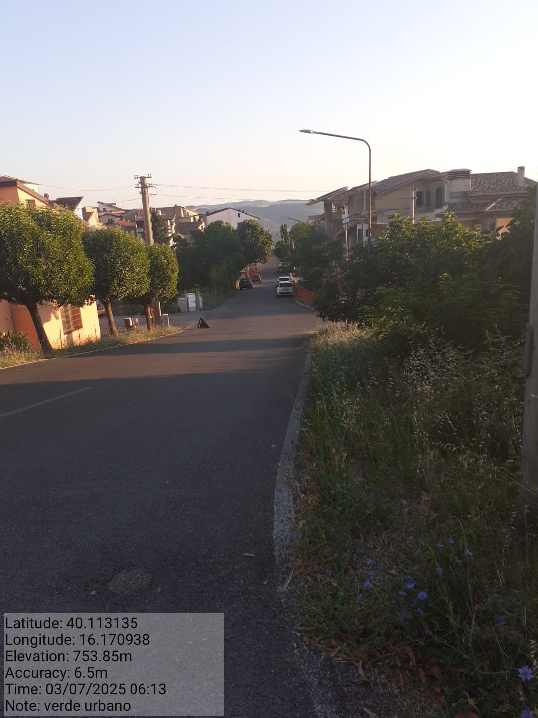 Galleria Fotografica Immagine