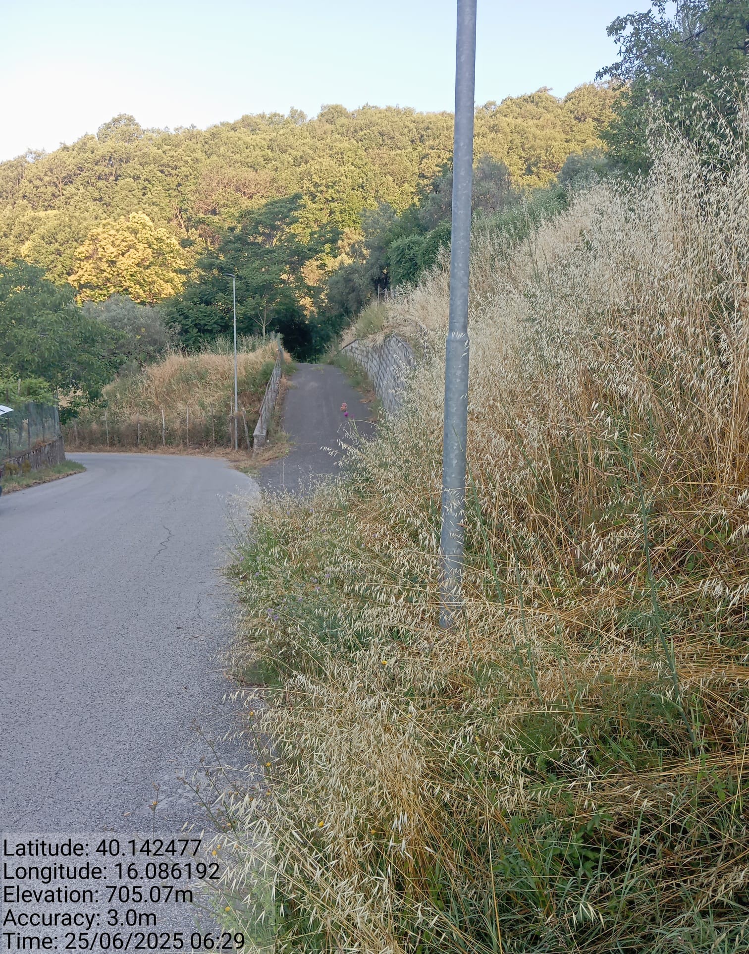 Galleria Fotografica Immagine