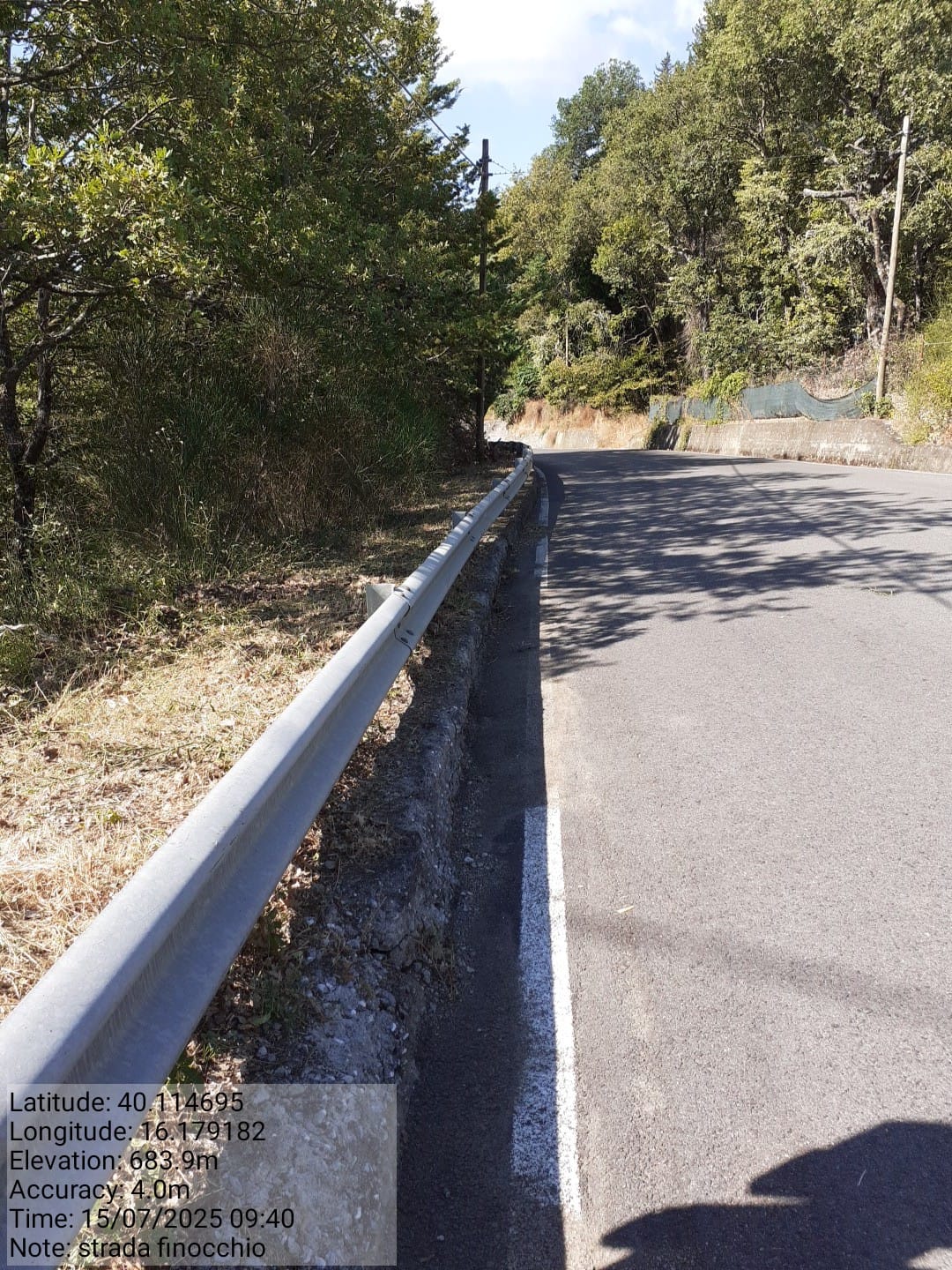 Galleria Fotografica Immagine