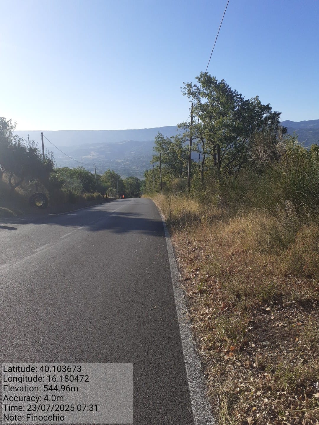 Galleria Fotografica Immagine