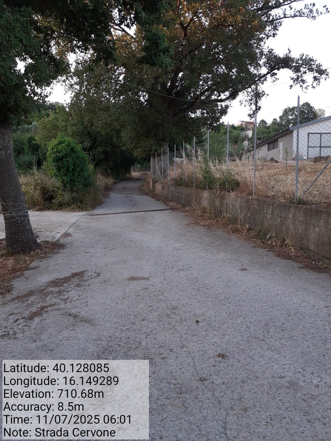 Galleria Fotografica Immagine