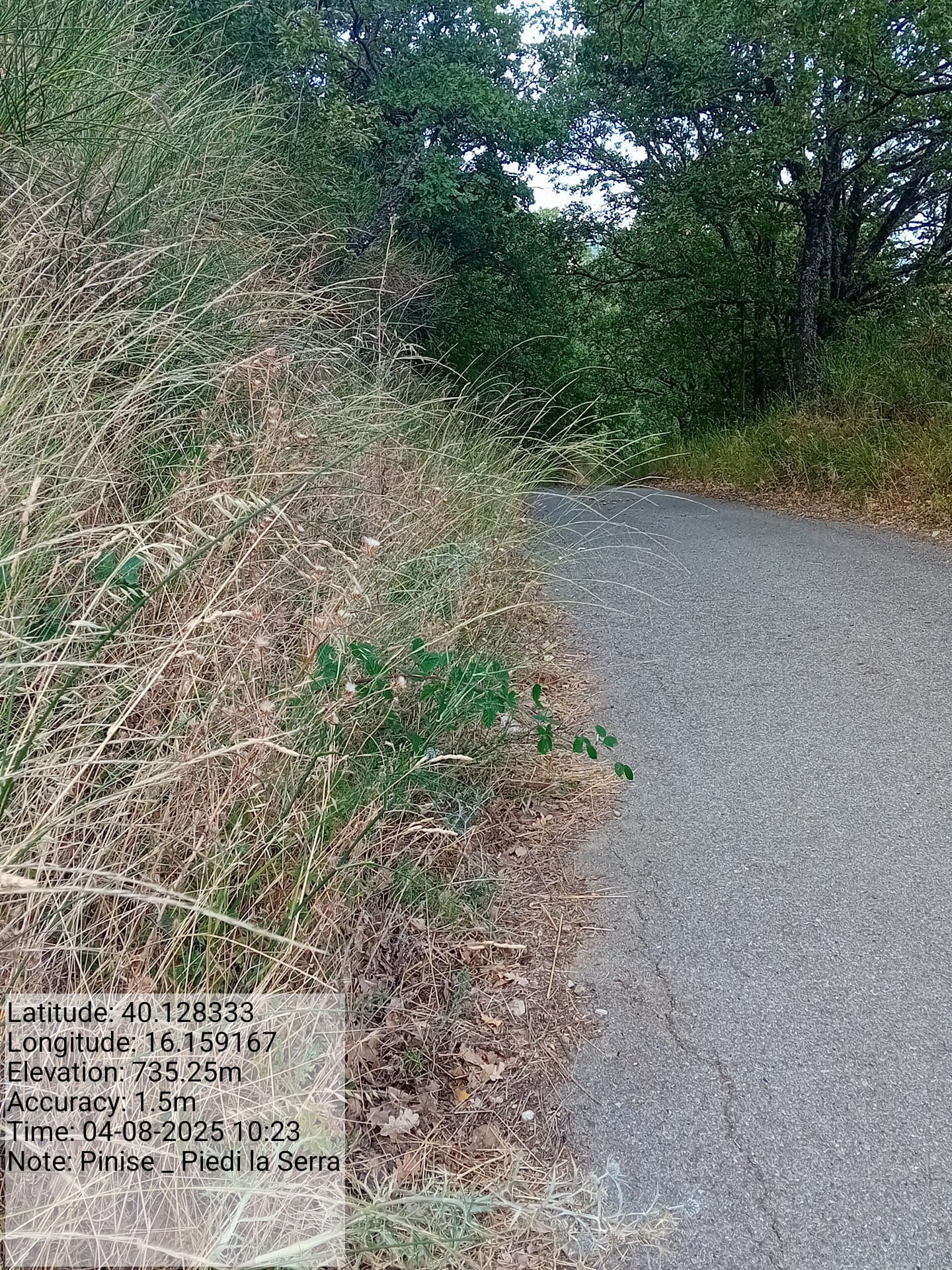 Galleria Fotografica Immagine