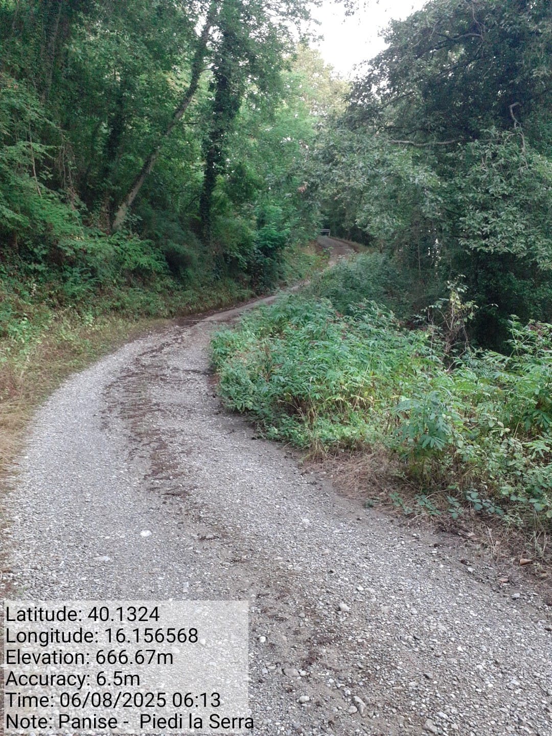 Galleria Fotografica Immagine