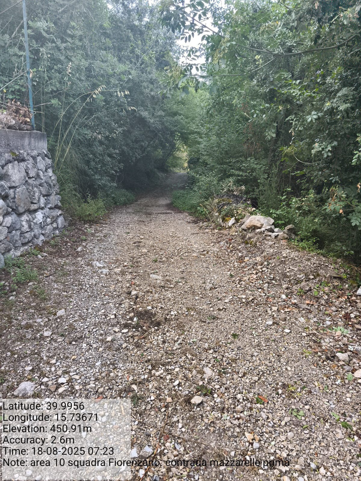 Galleria Fotografica Immagine