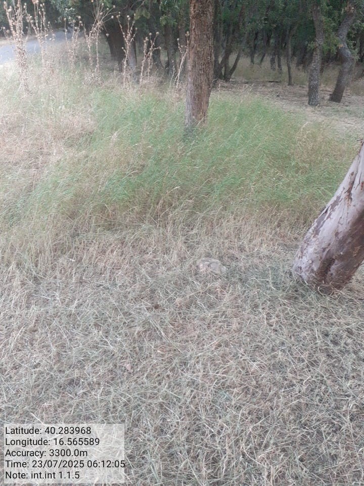 Galleria Fotografica Immagine