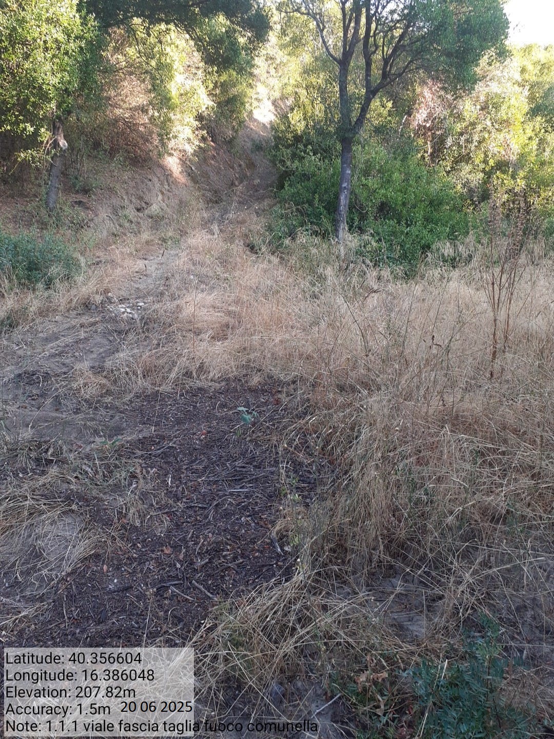 Galleria Fotografica Immagine