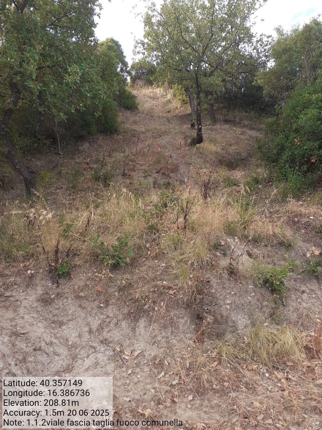 Galleria Fotografica Immagine