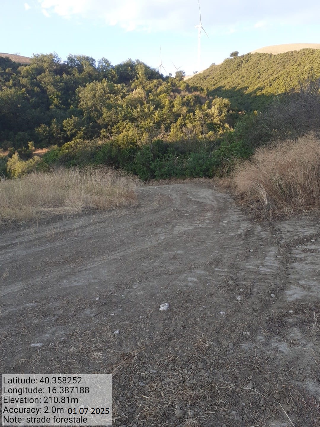 Galleria Fotografica Immagine