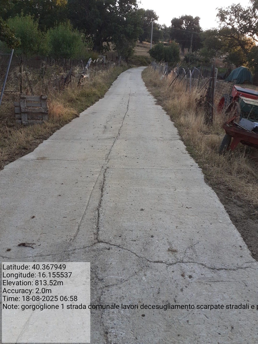 Galleria Fotografica Immagine