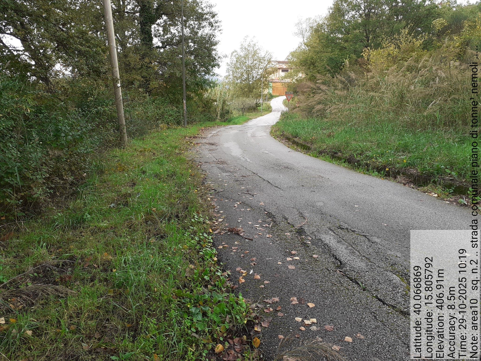 Galleria Fotografica Immagine