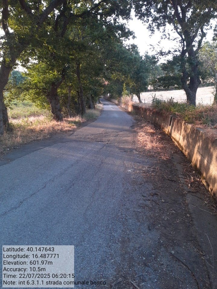 Galleria Fotografica Immagine