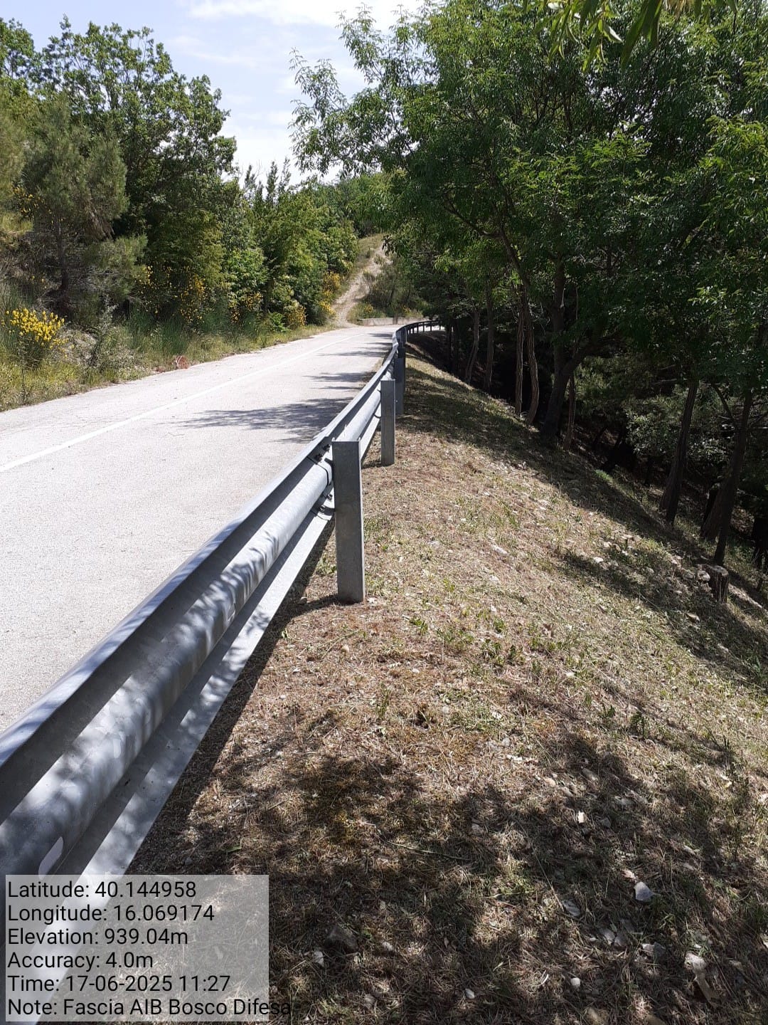 Galleria Fotografica Immagine