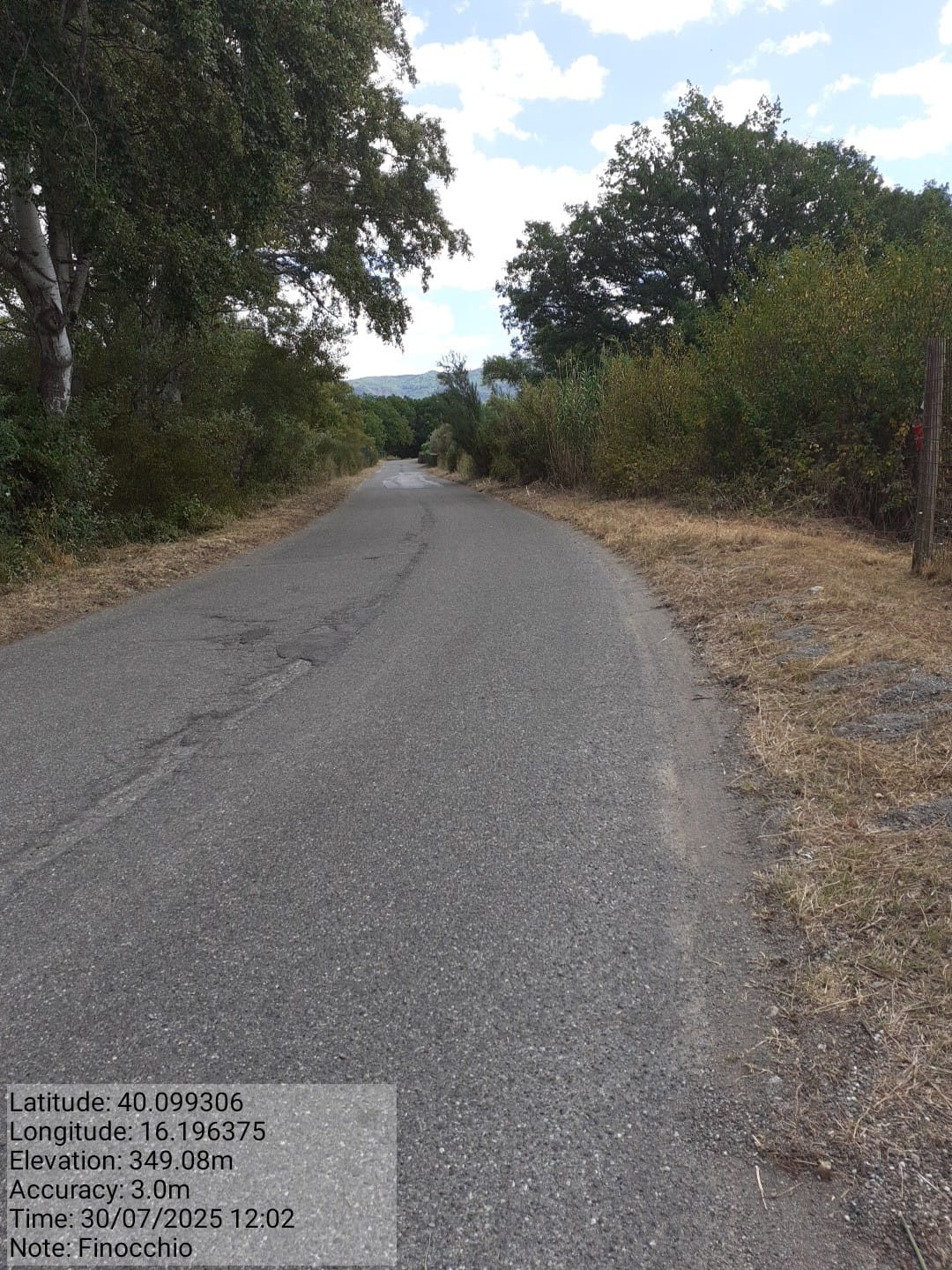 Galleria Fotografica Immagine