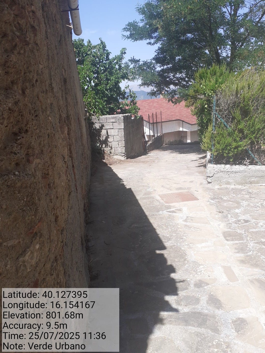 Galleria Fotografica Immagine