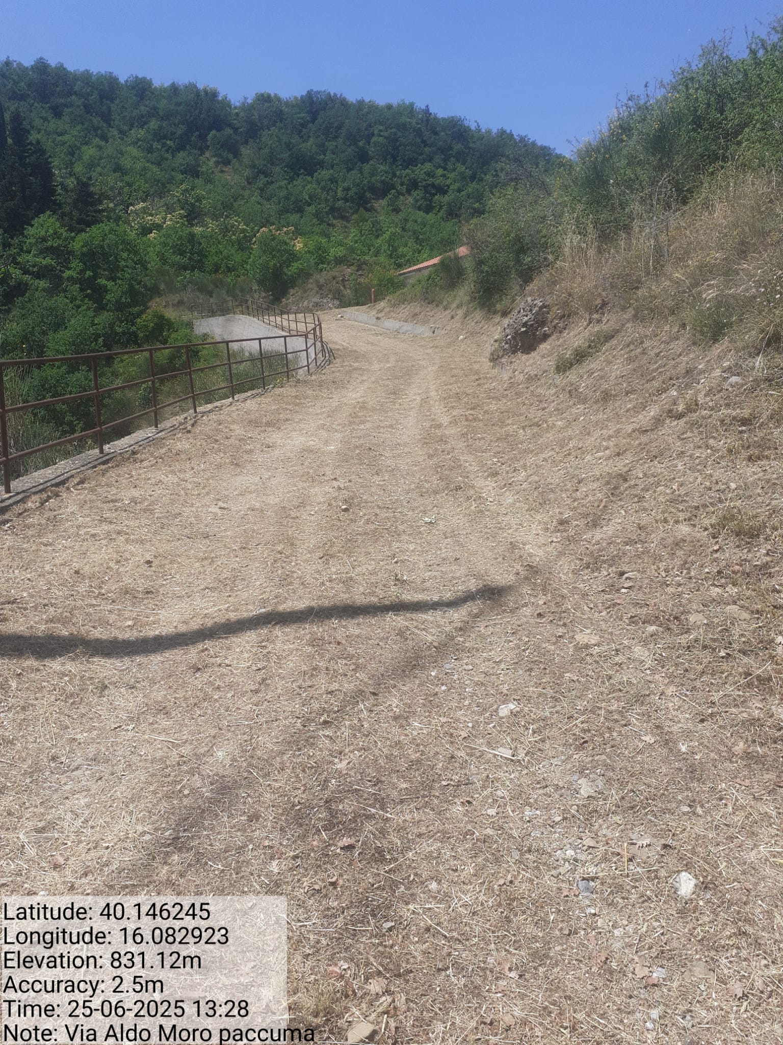 Galleria Fotografica Immagine