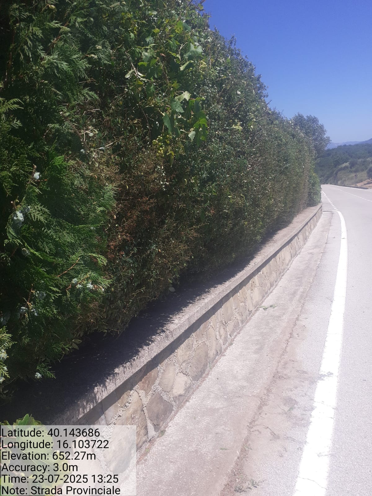 Galleria Fotografica Immagine