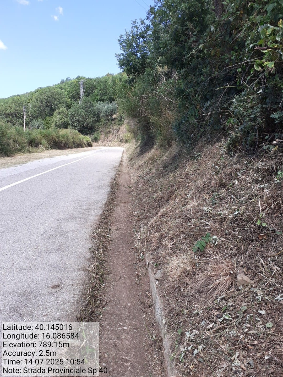 Galleria Fotografica Immagine