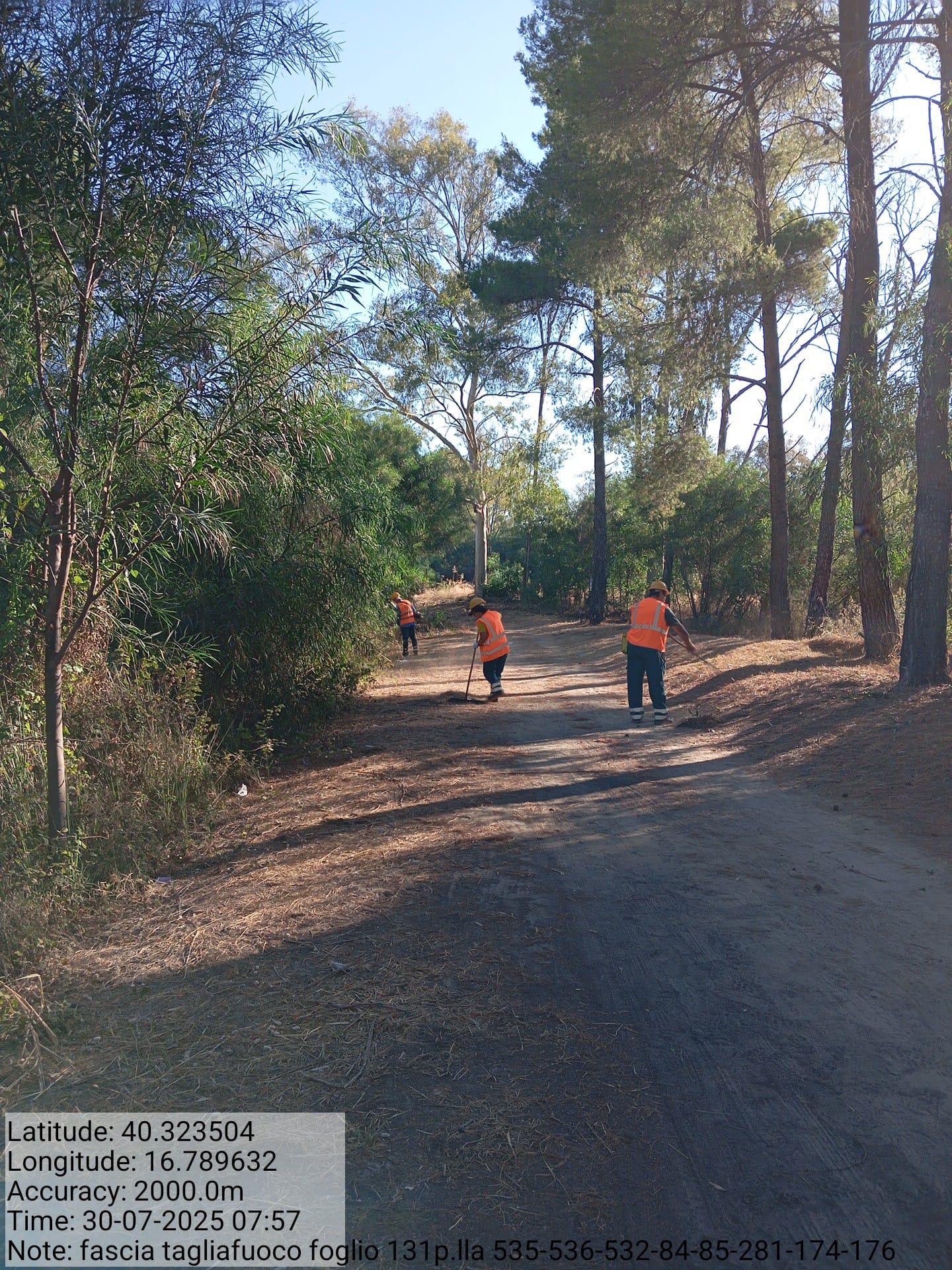 Galleria Fotografica Immagine