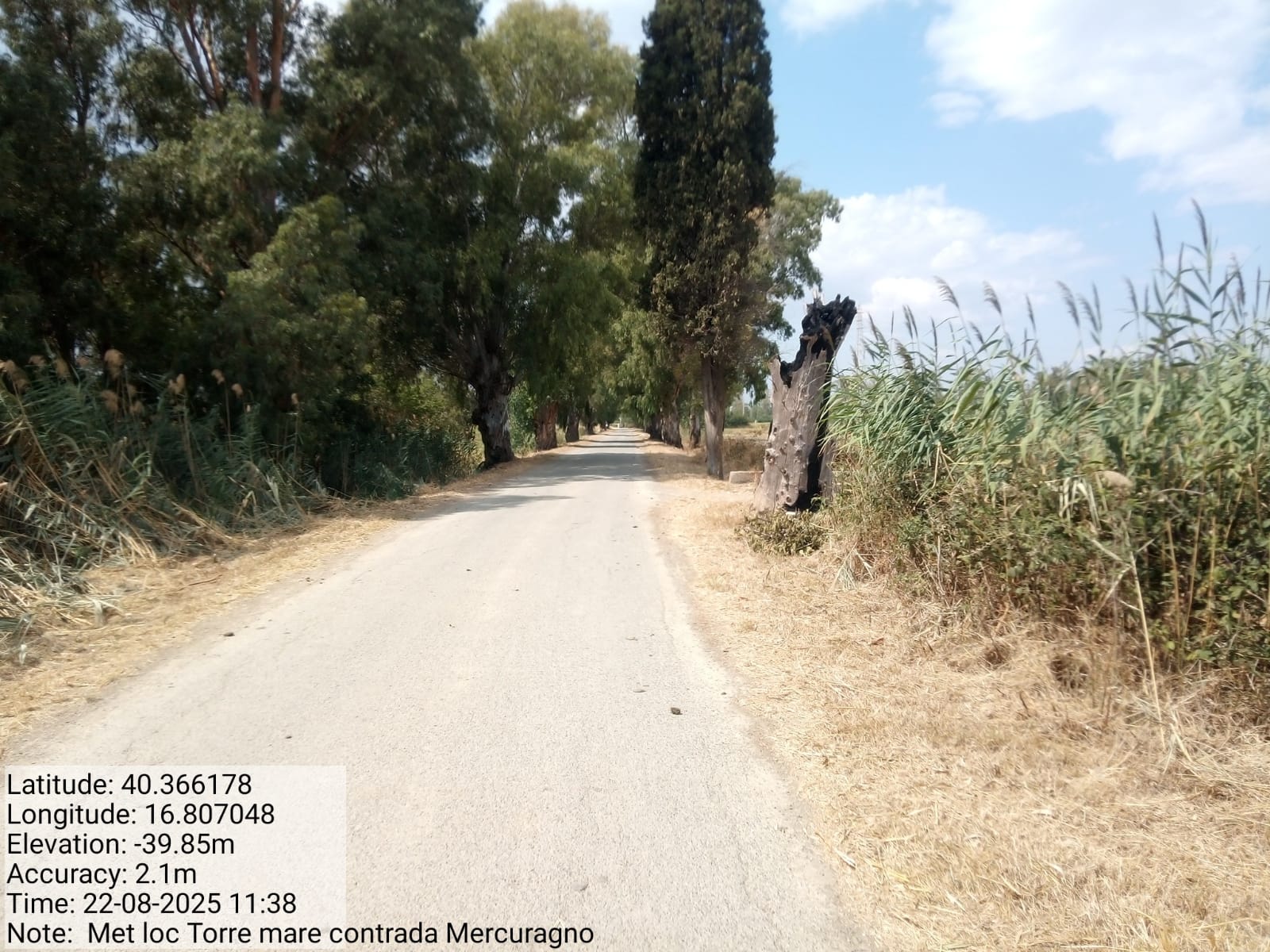 Galleria Fotografica Immagine