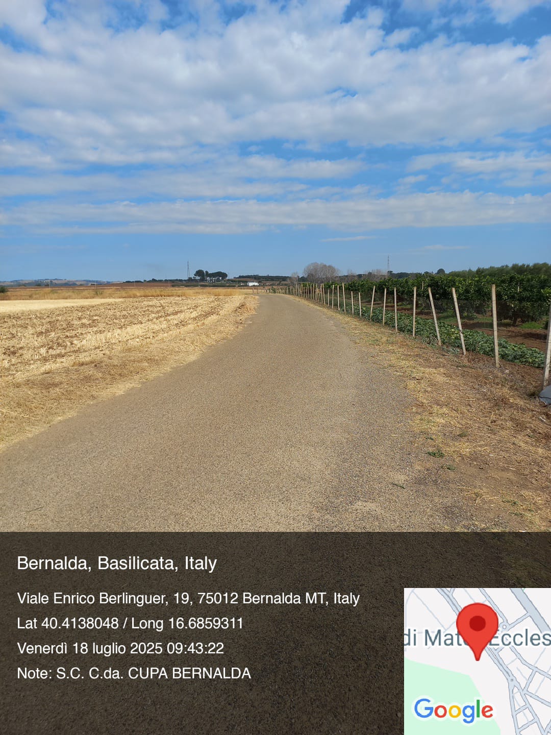 Galleria Fotografica Immagine