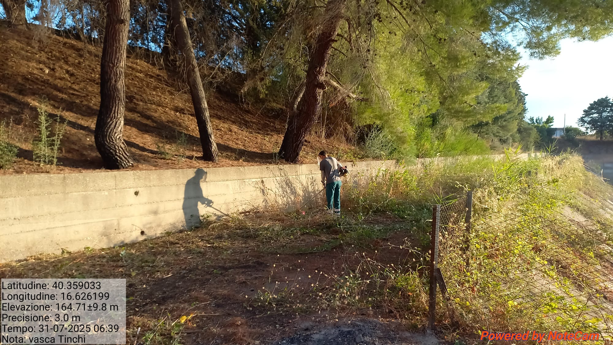 Galleria Fotografica Immagine