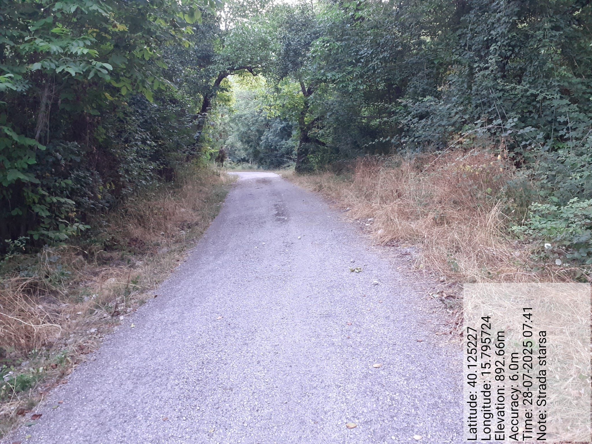 Galleria Fotografica Immagine