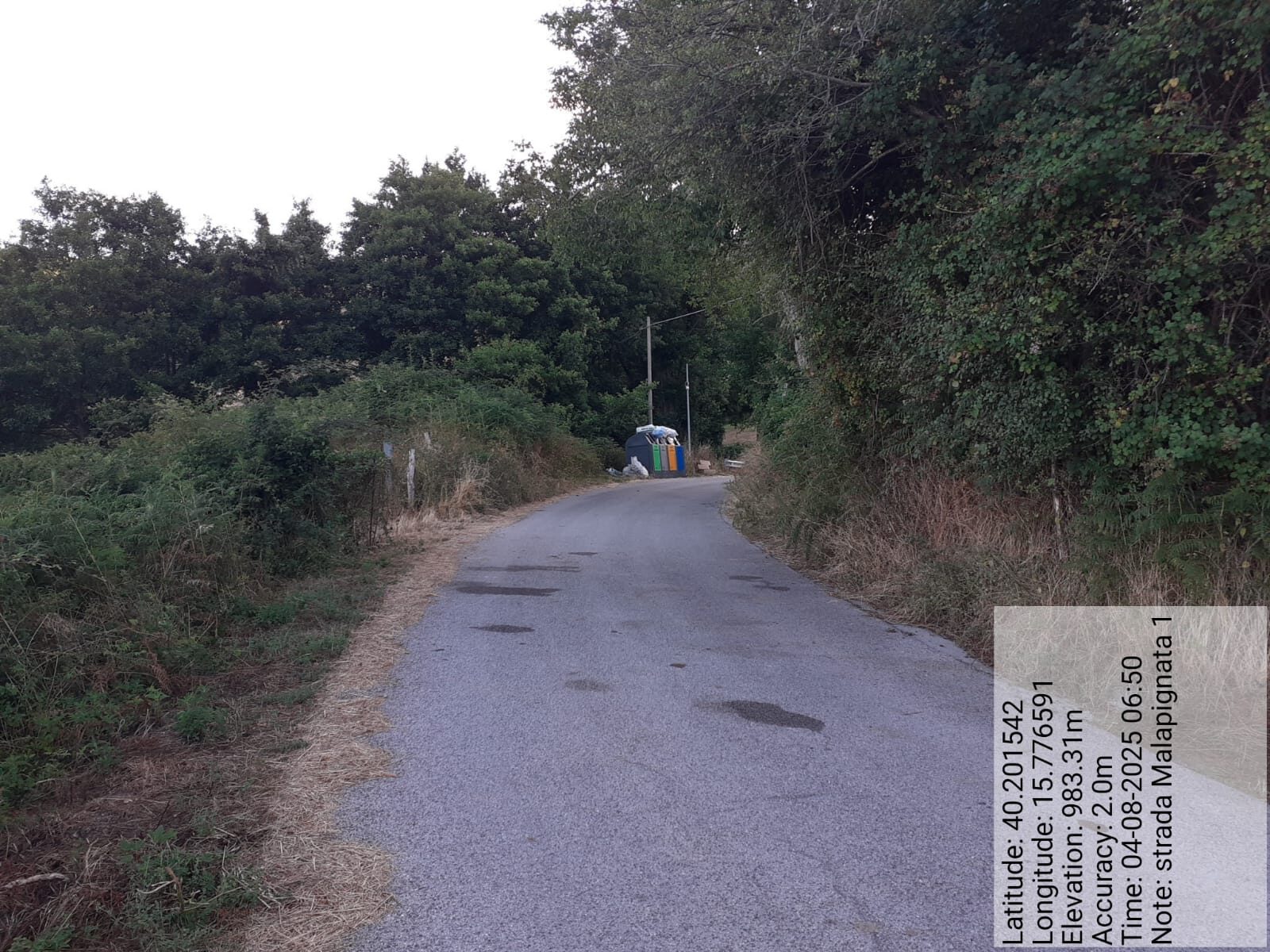 Galleria Fotografica Immagine