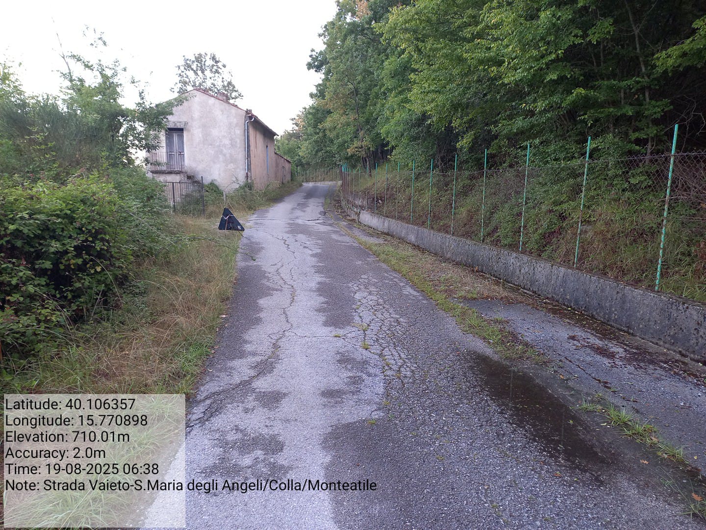 Galleria Fotografica Immagine