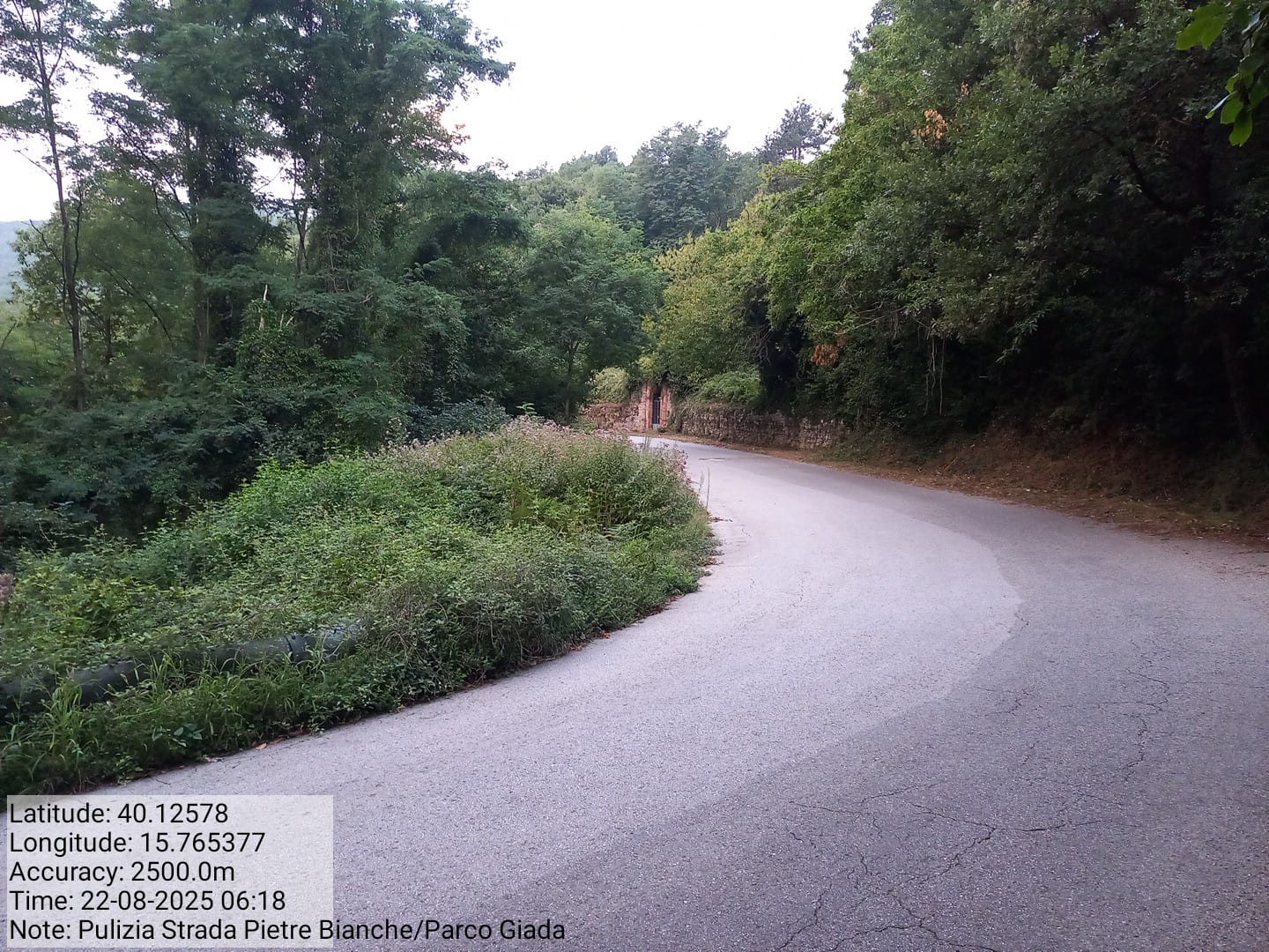 Galleria Fotografica Immagine