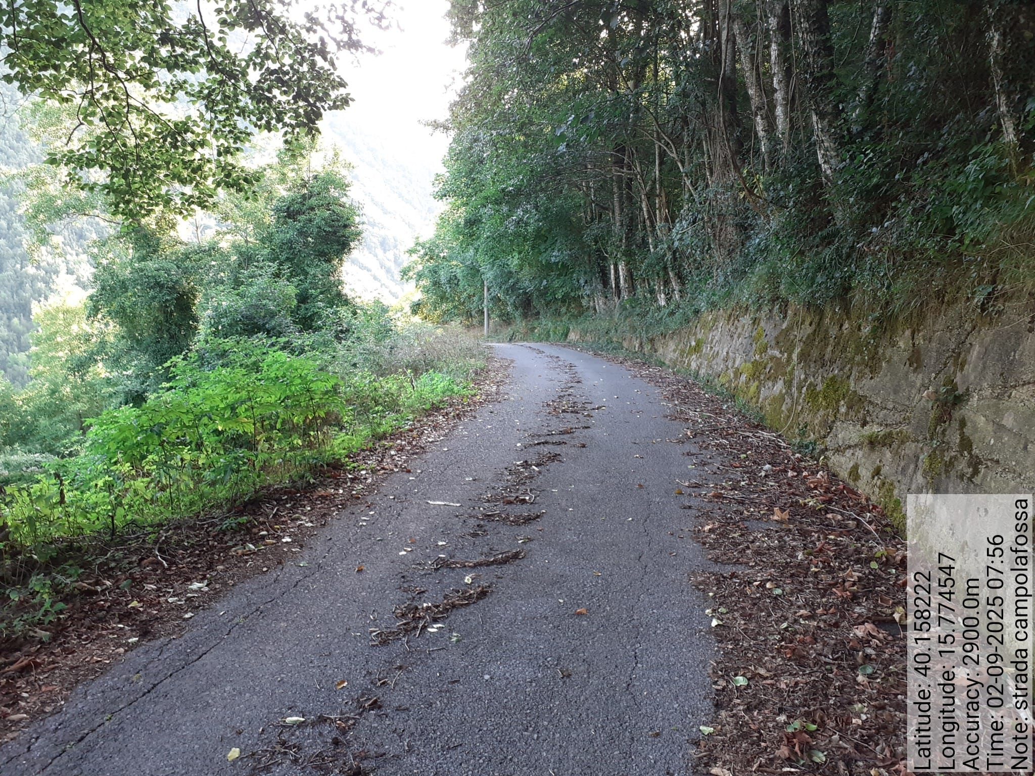 Galleria Fotografica Immagine