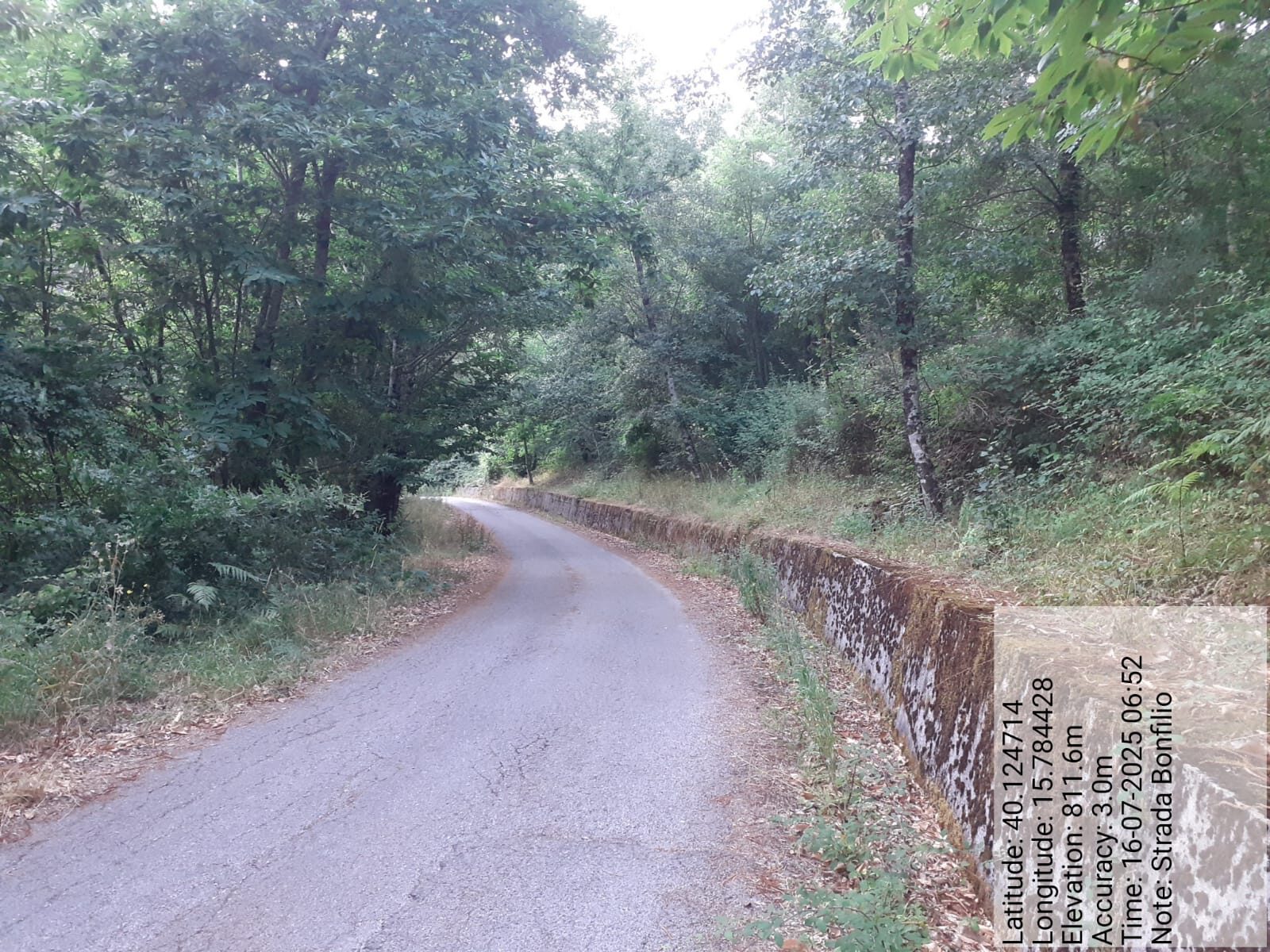 Galleria Fotografica Immagine