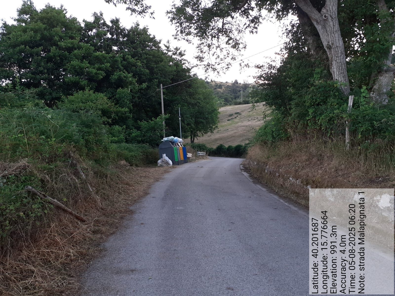 Galleria Fotografica Immagine