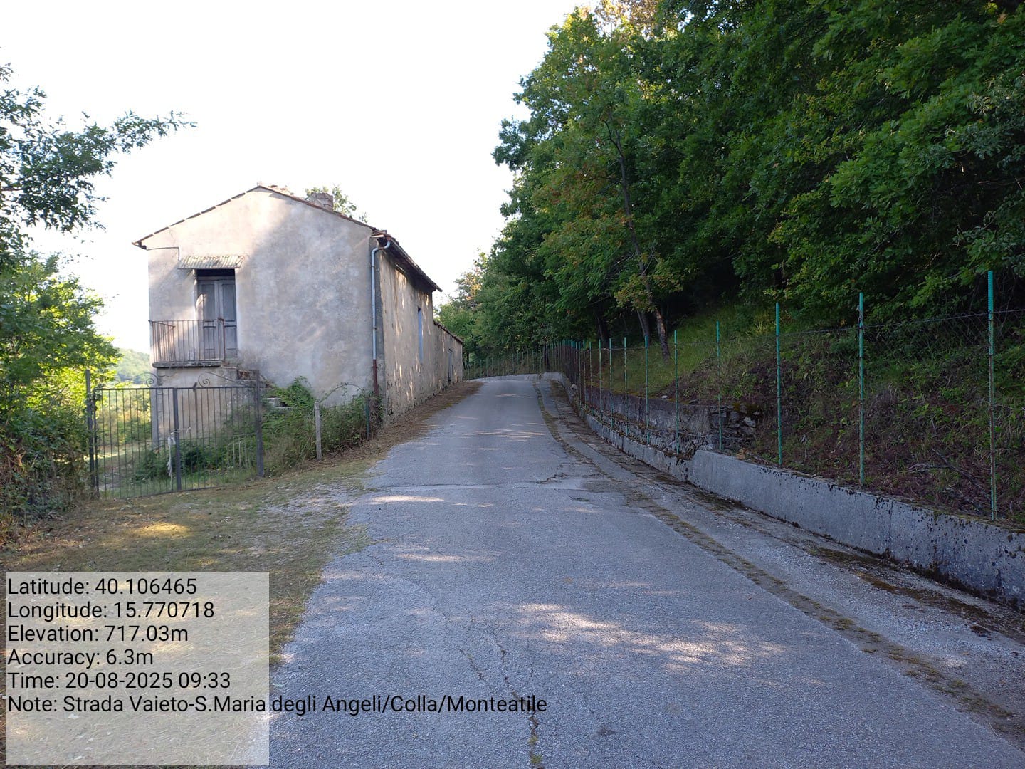 Galleria Fotografica Immagine