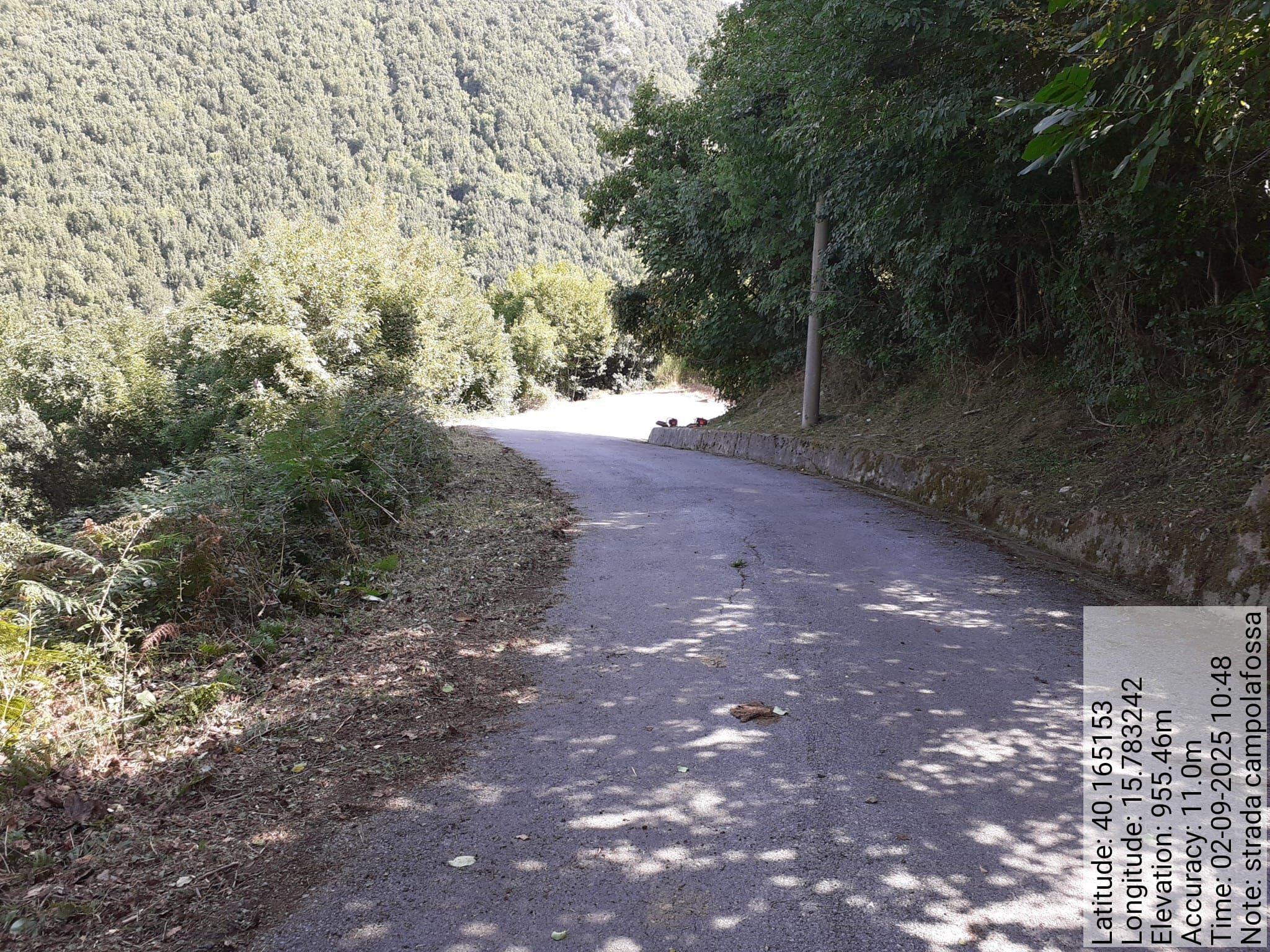 Galleria Fotografica Immagine