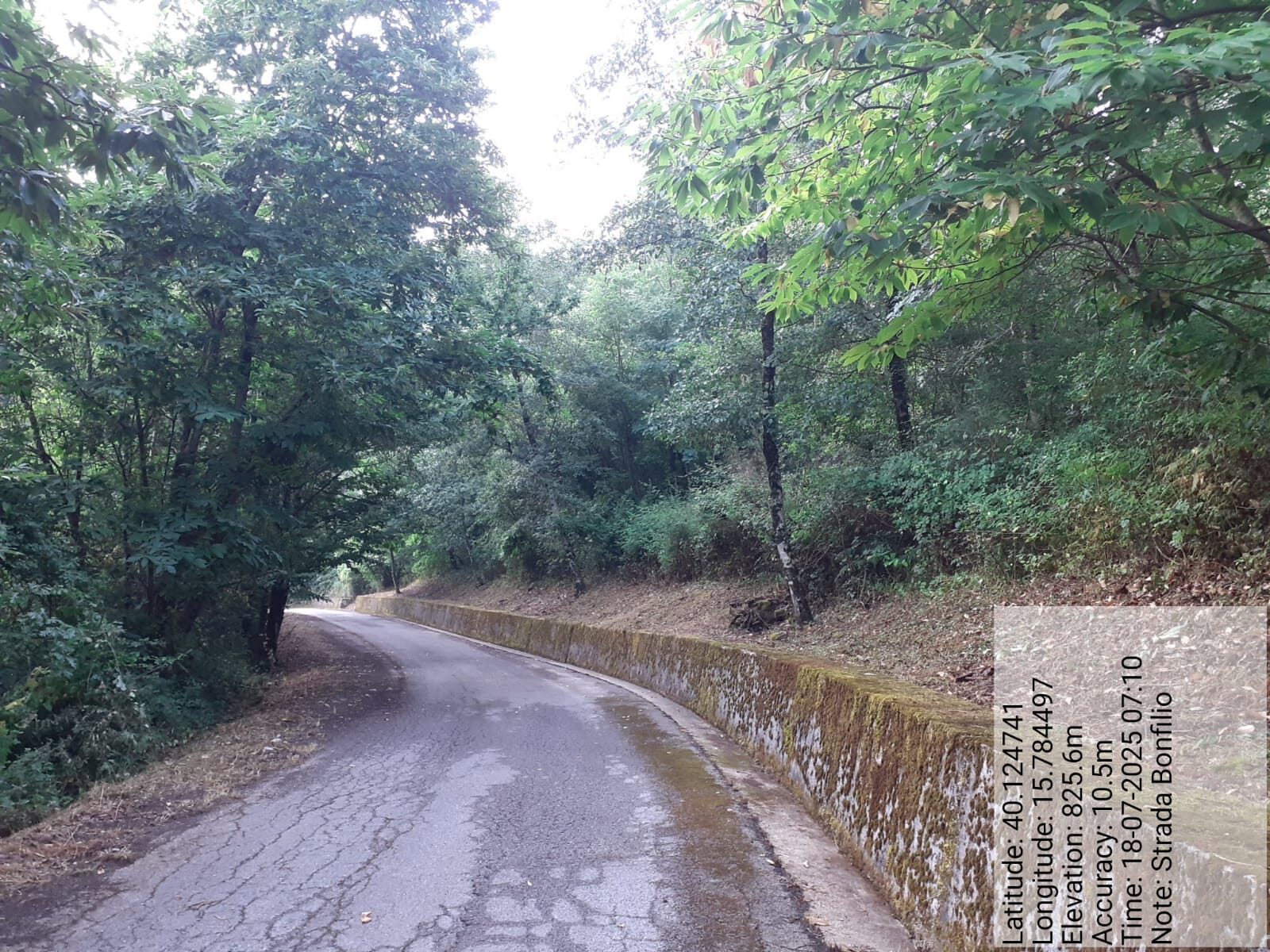 Galleria Fotografica Immagine