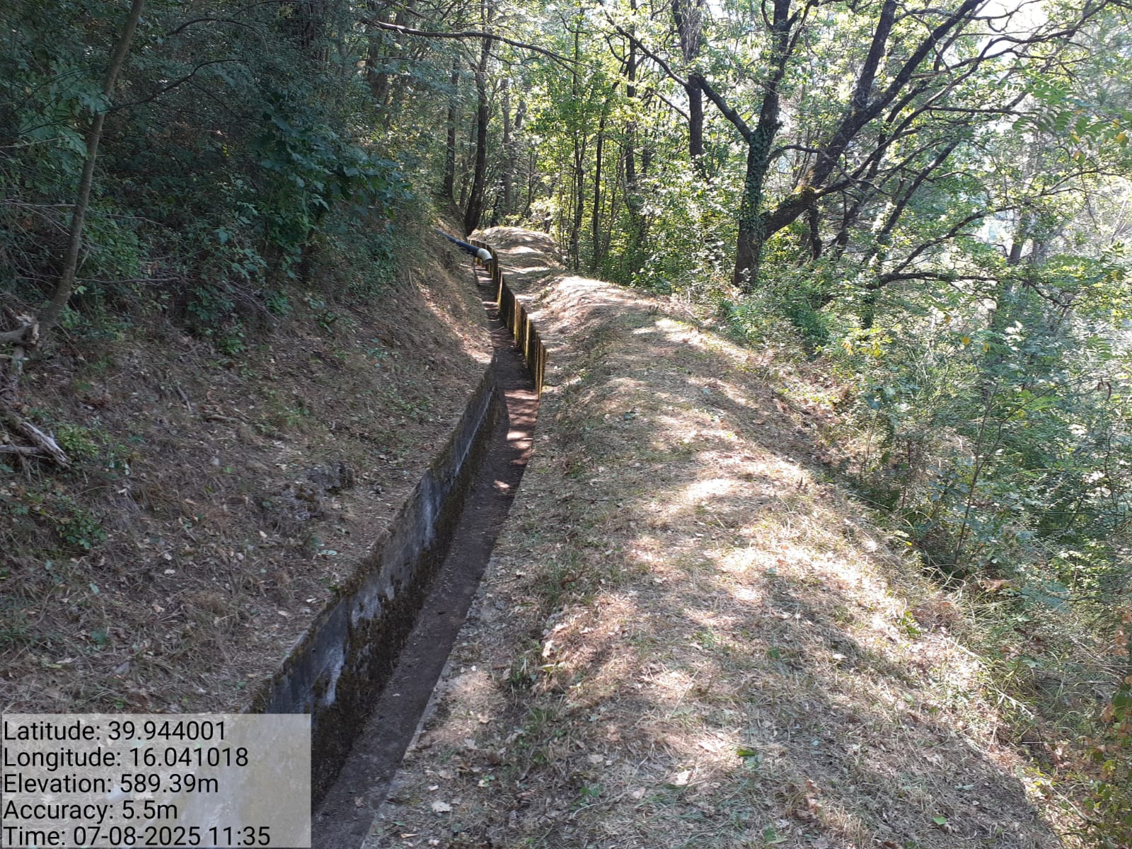 Galleria Fotografica Immagine