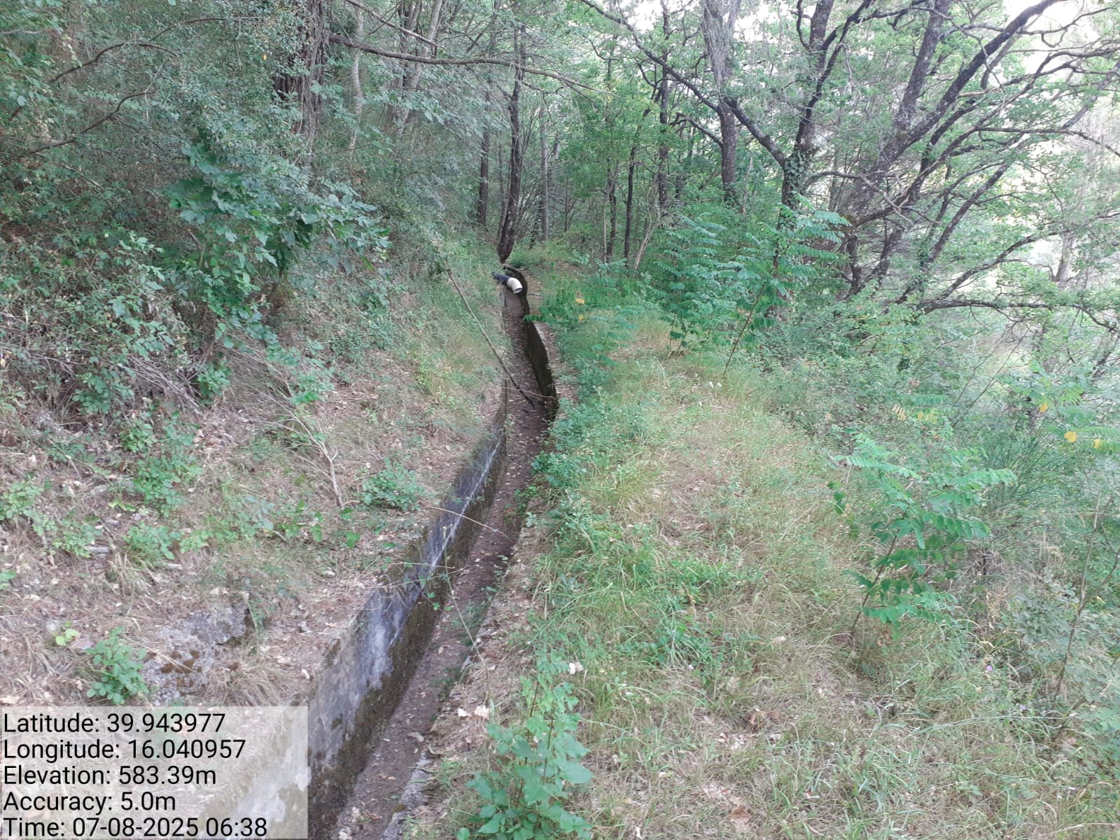 Galleria Fotografica Immagine