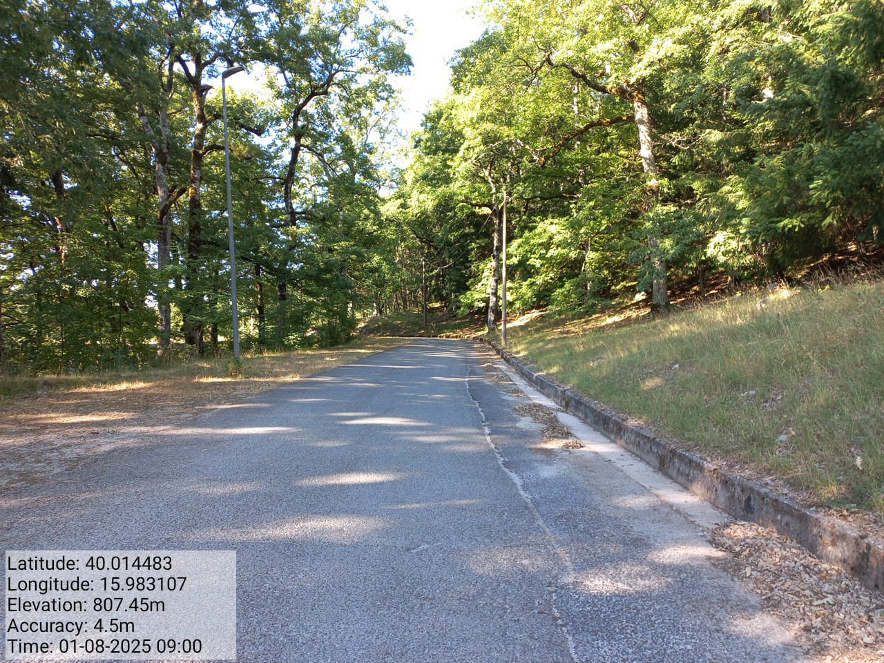 Galleria Fotografica Immagine